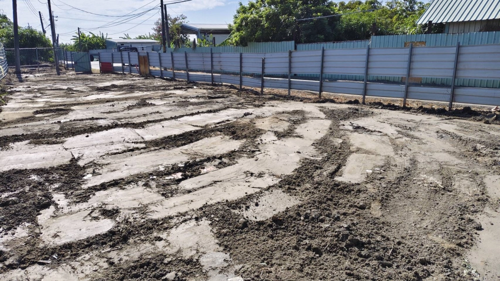 南區 中華南路二段 雜項清除與整地作業