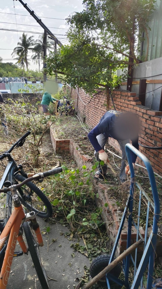 南區同興路 樹木鋸除雜項清運