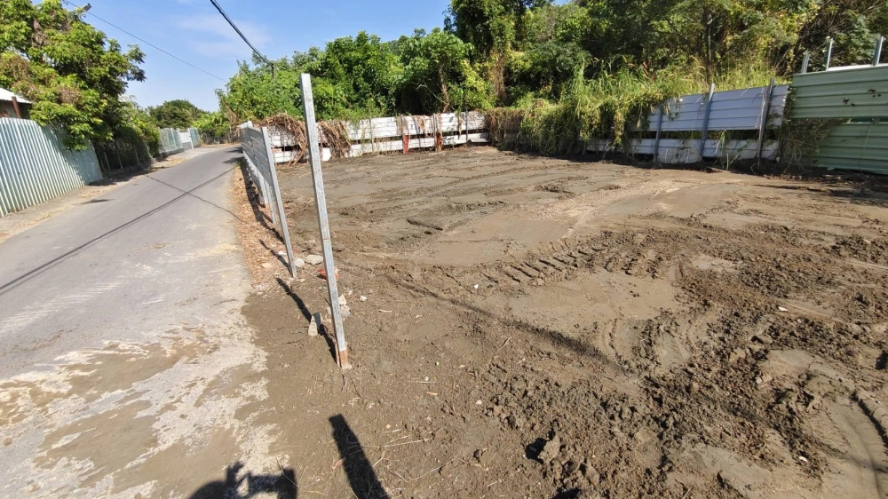 南區 中華南路二段 雜項清除與整地作業