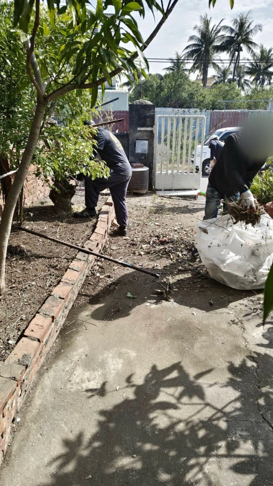 南區同興路 樹木鋸除雜項清運