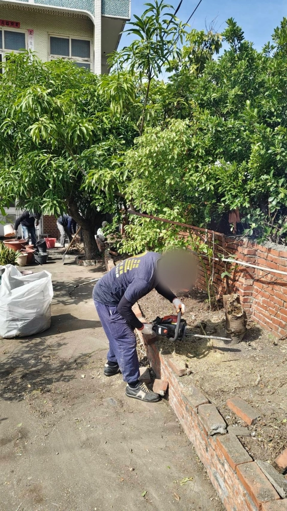 南區同興路 樹木鋸除雜項清運