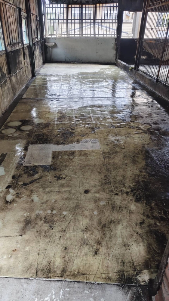 嘉義 芳興街 火災後廢棄物 淨空 清運 清潔