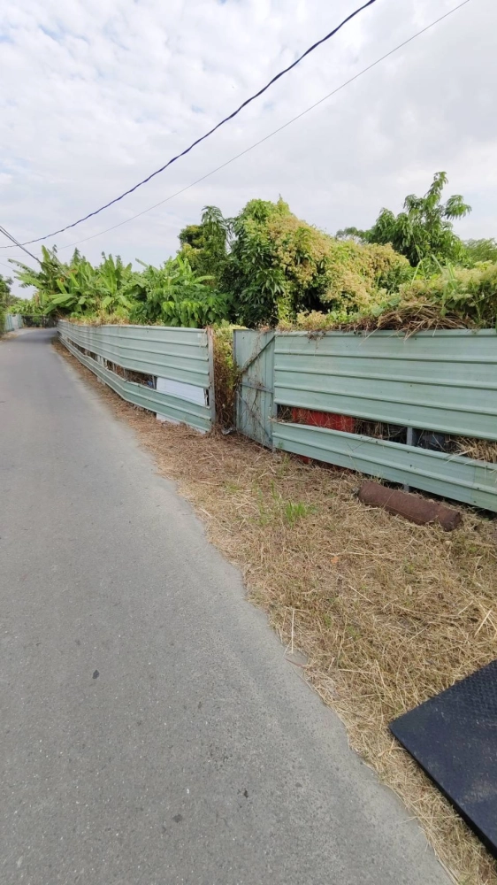 南區 中華南路二段 雜項清除與整地作業