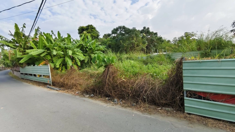 南區 中華南路二段 雜項清除與整地作業