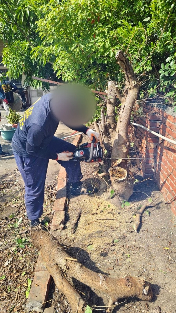 南區同興路 樹木鋸除雜項清運