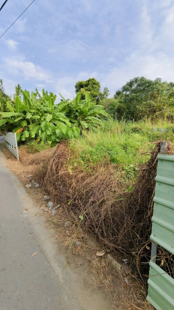南區 中華南路二段 雜項清除與整地作業