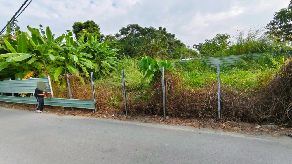 南區 中華南路二段 雜項清除與整地作業