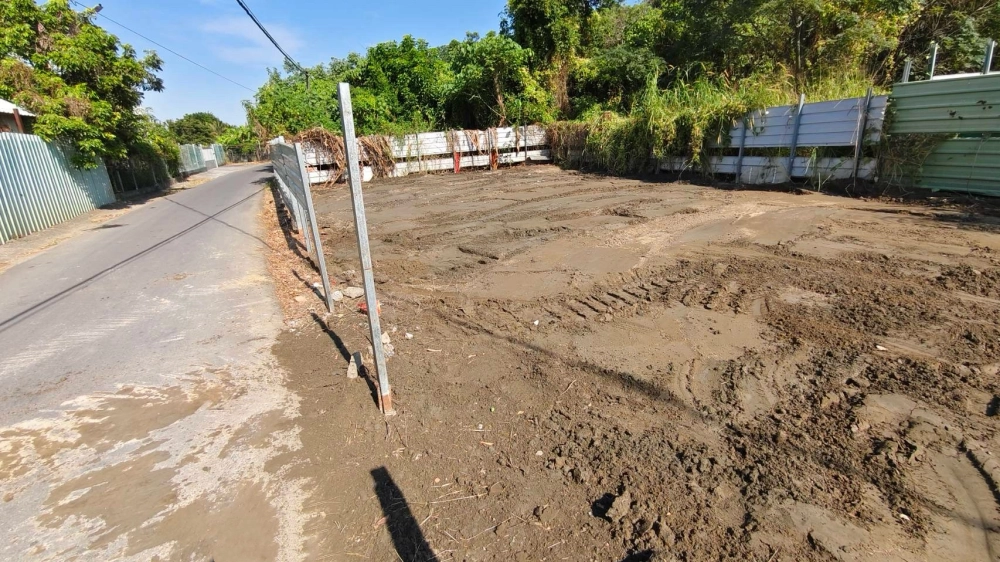 南區 中華南路二段 雜項清除與整地作業
