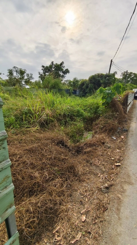 南區 中華南路二段 雜項清除與整地作業