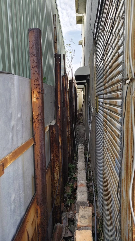 南區同興路 樹木鋸除雜項清運