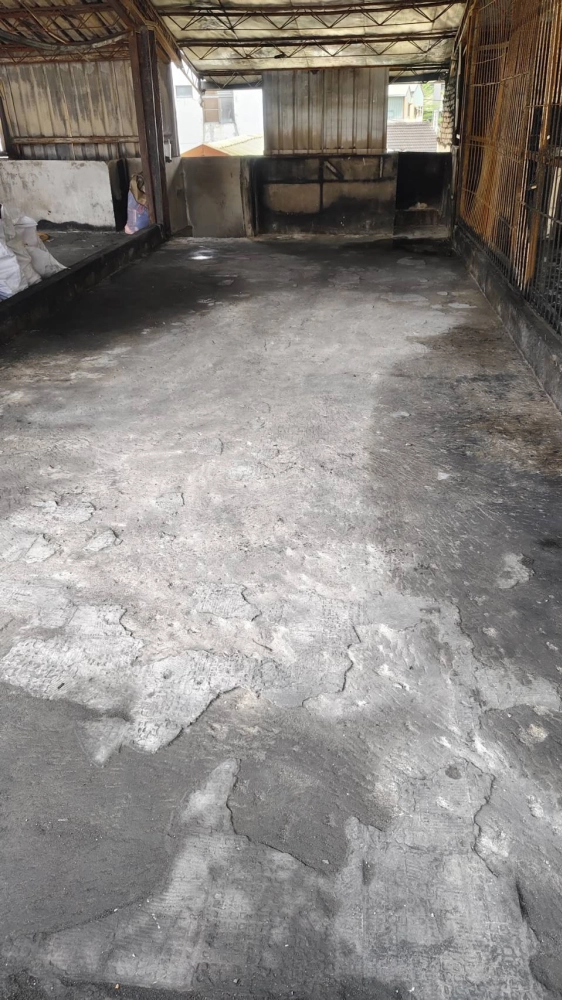 嘉義 芳興街 火災後廢棄物 淨空 清運 清潔