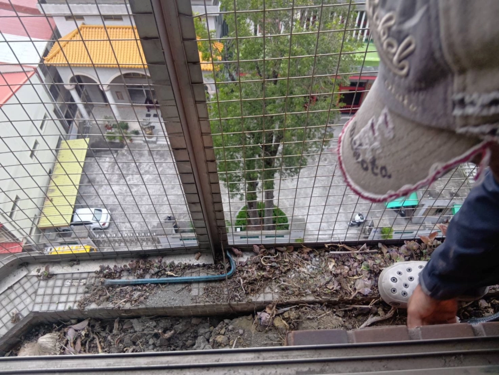 嘉義市 東區 凈空陽台花圃廢土枯枝清運