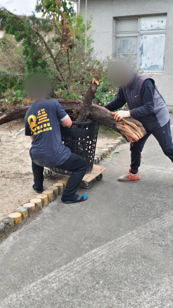 嘉義新港鄉 樹木雜草清除環境清潔