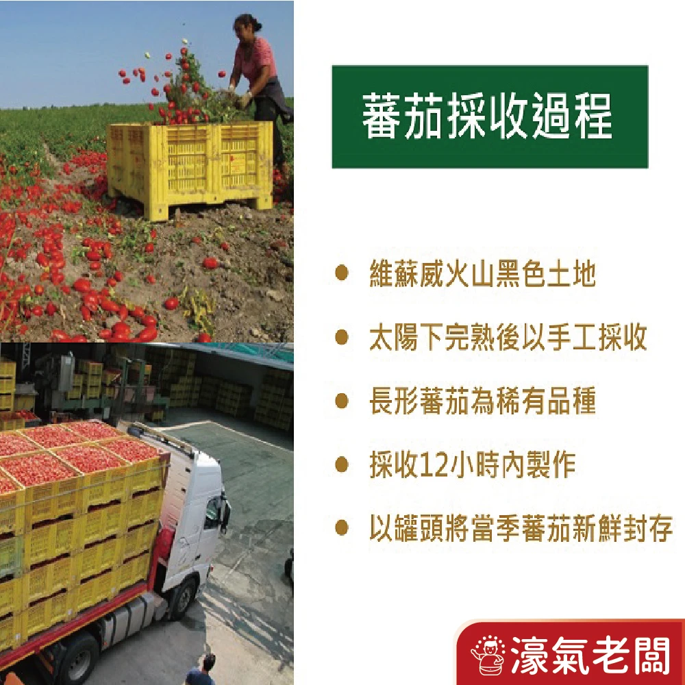 義大利ORO去皮整顆蕃茄 去皮切丁蕃茄 400公克 番茄 罐頭 西式料理 紅醬