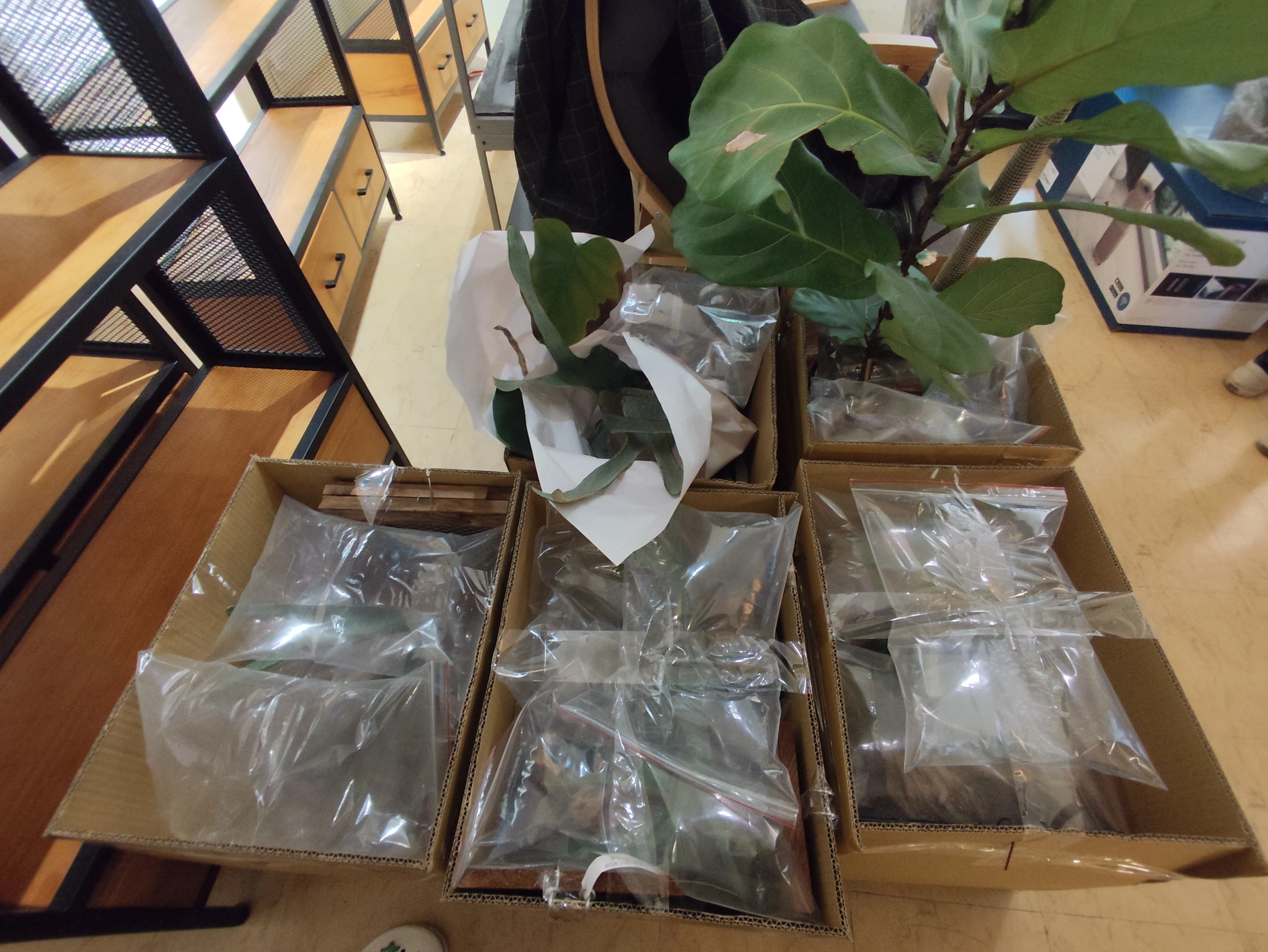 沙鹿舊家物品完成打包，箱內物品使用包材包覆