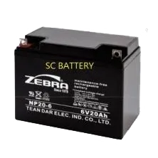 ZEBRA 斑馬 NP20-6
