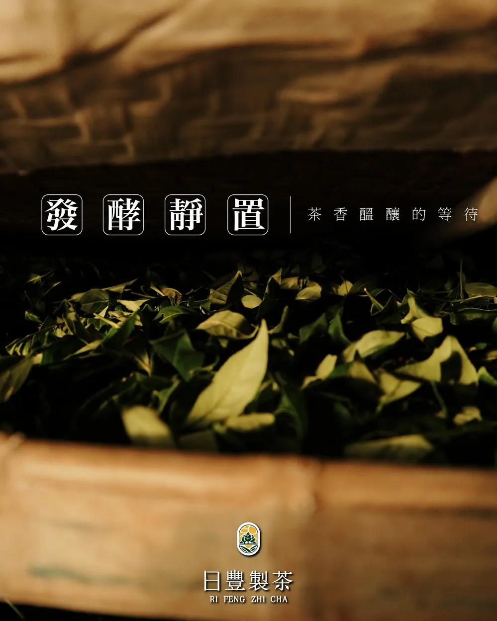 發酵靜置｜茶香醞釀的等待