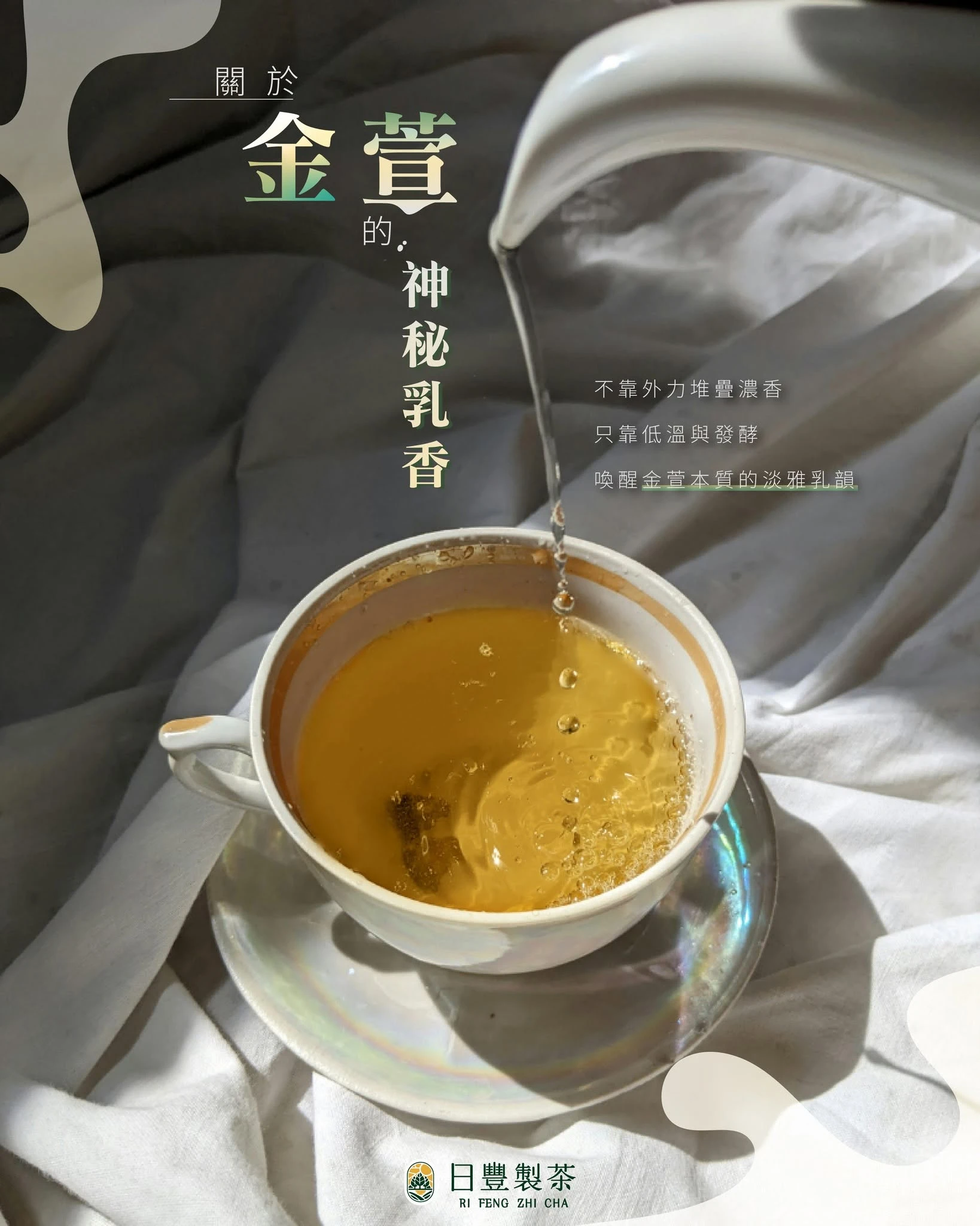 【金萱茶的奶香？3分鐘聽實話 ?】南投製茶廠｜南投伴手禮推薦