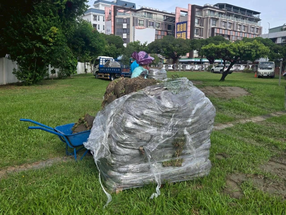 草皮綠化工程