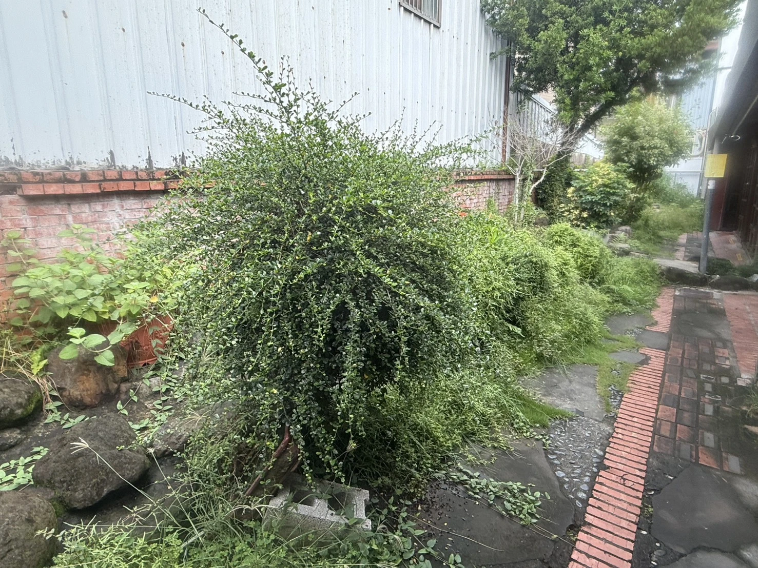 施工前