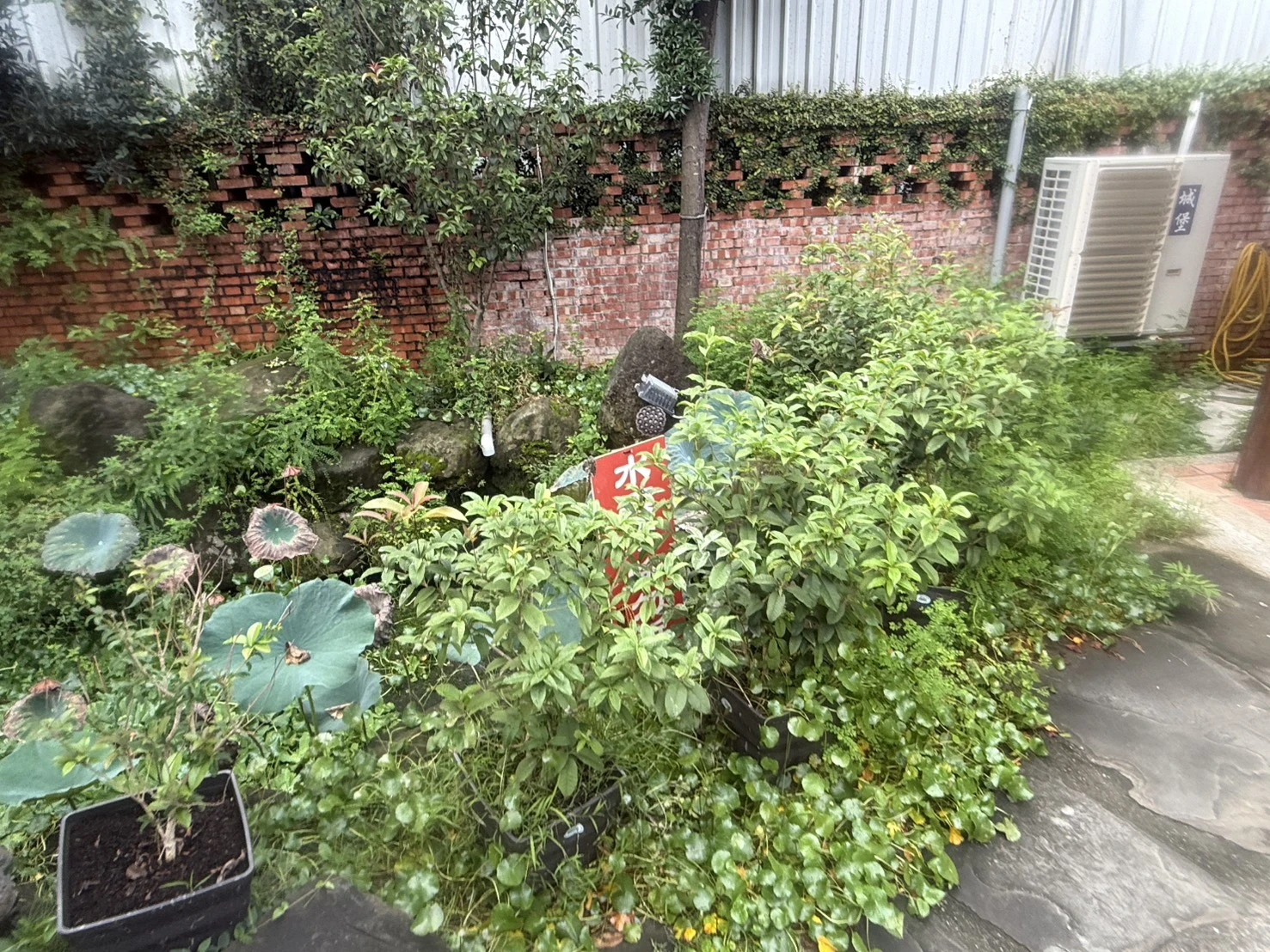 施工前