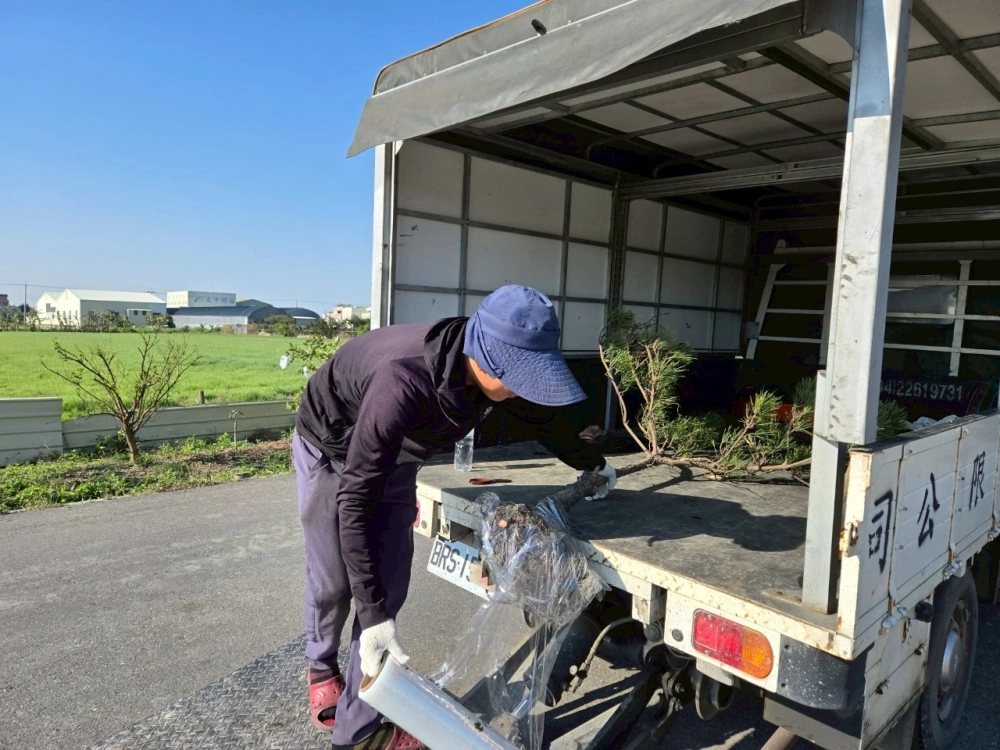綠美化-彰化秀水小樹移植線西工廠門面