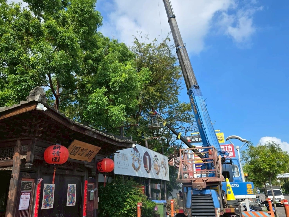耕讀園台南永華店鋸樹、清運