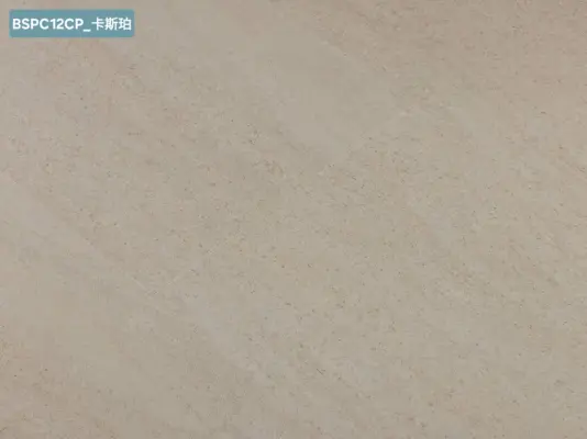 BSPC12CP 卡斯珀