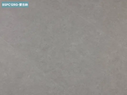 BSPC12RG 雷吉納