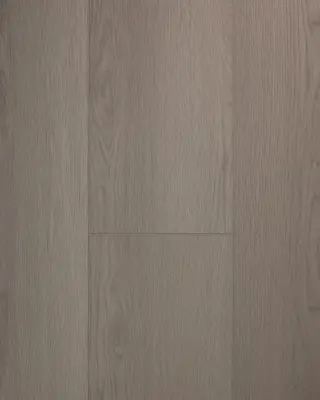 VSPC9LN莫林