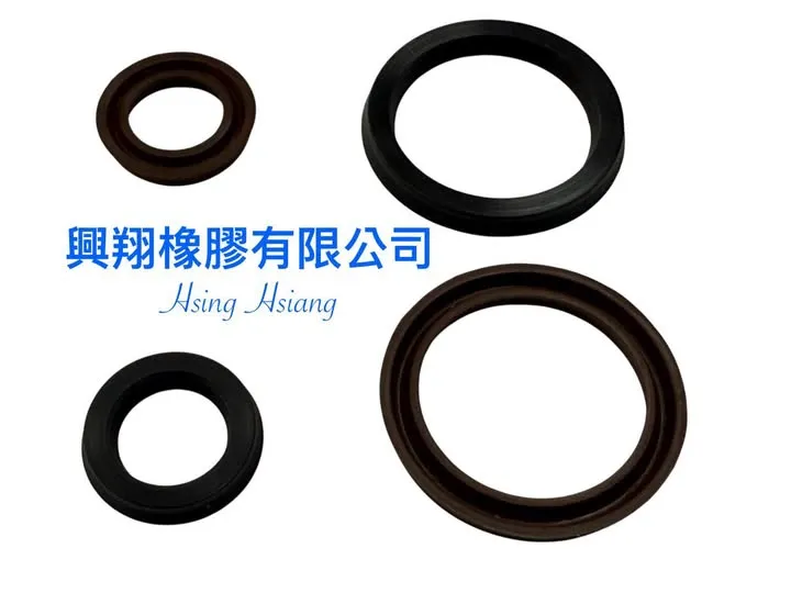 V型油封（V-Ring Seal）