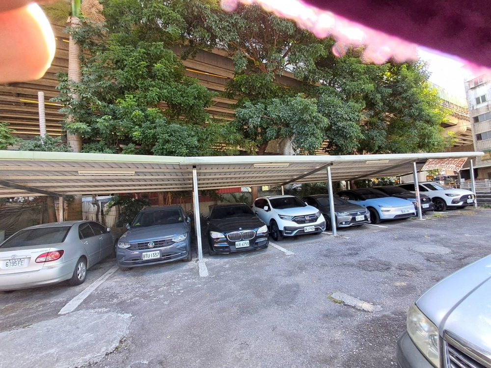 高壓電週遭危樹移除（前）