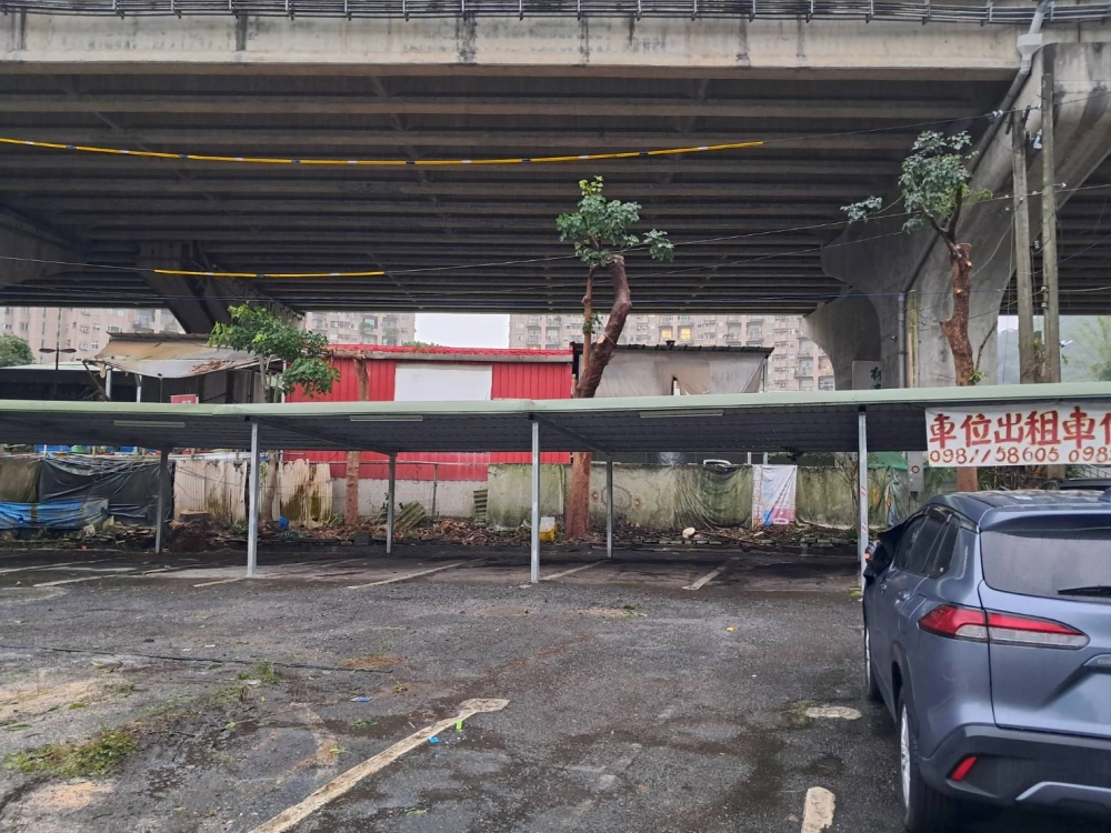 高壓電週遭危樹移除（後）