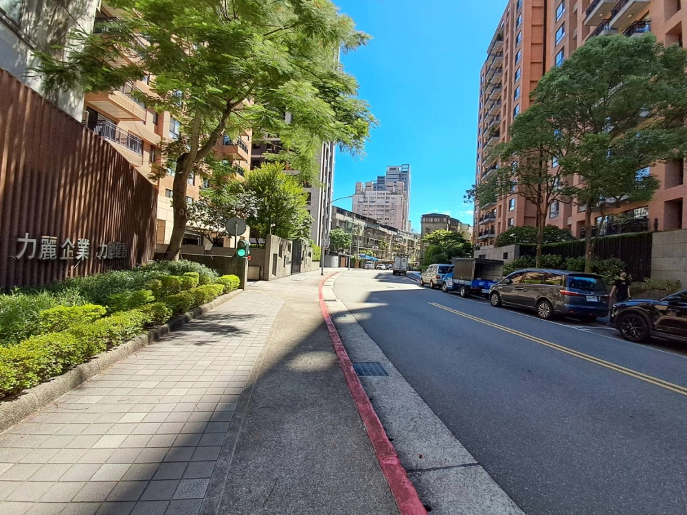 社區行道樹疏枝.縮冠修剪（前）