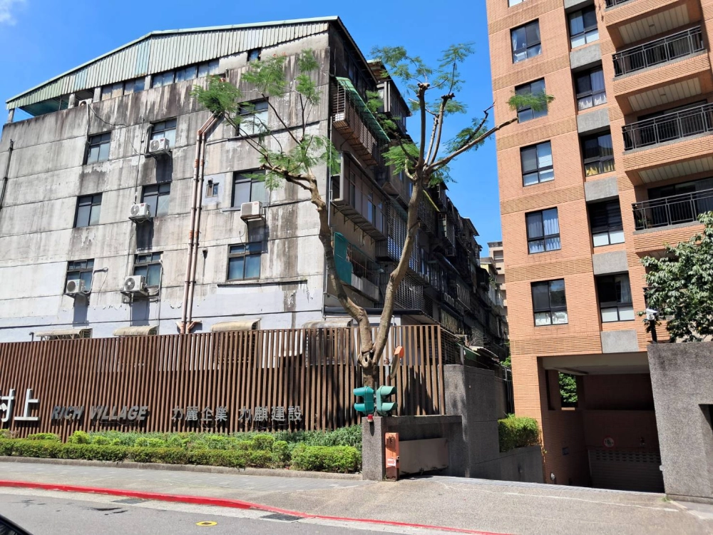 社區行道樹疏枝.縮冠修剪（後）