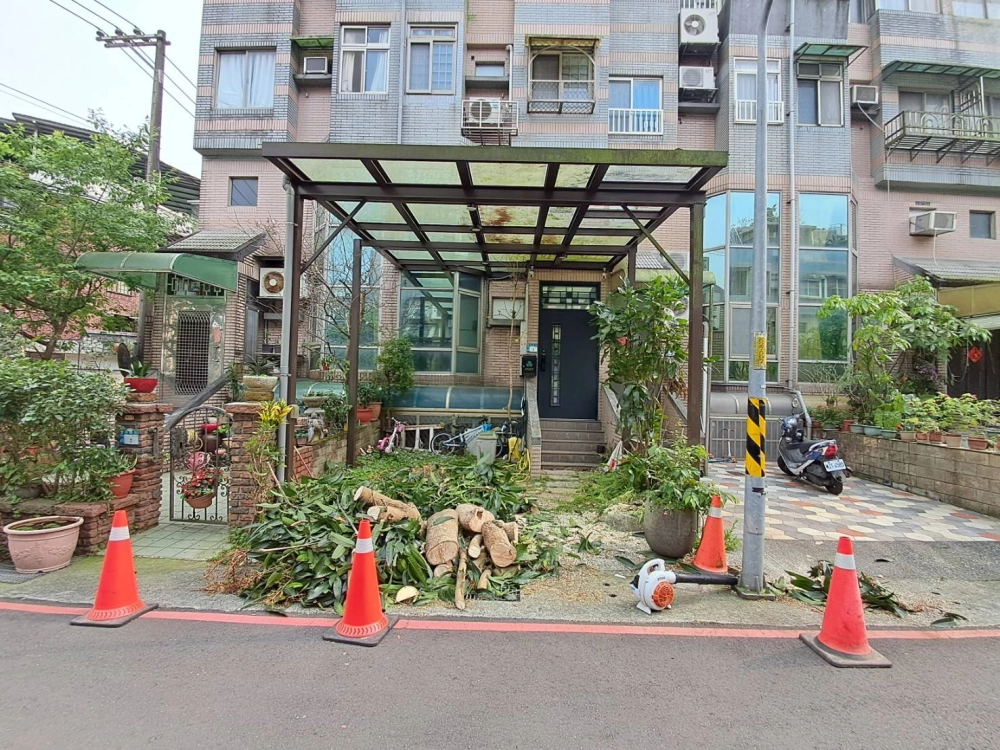 危樹移除(後)