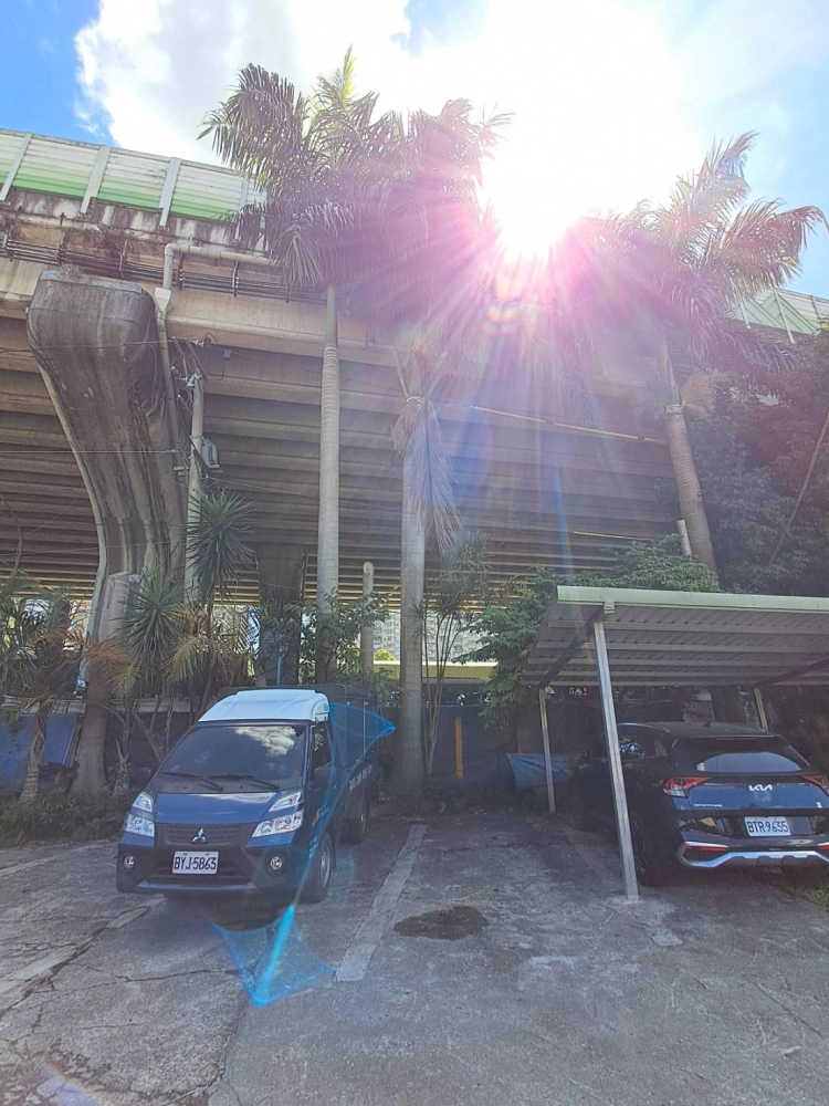 高壓電週遭危樹移除（前）