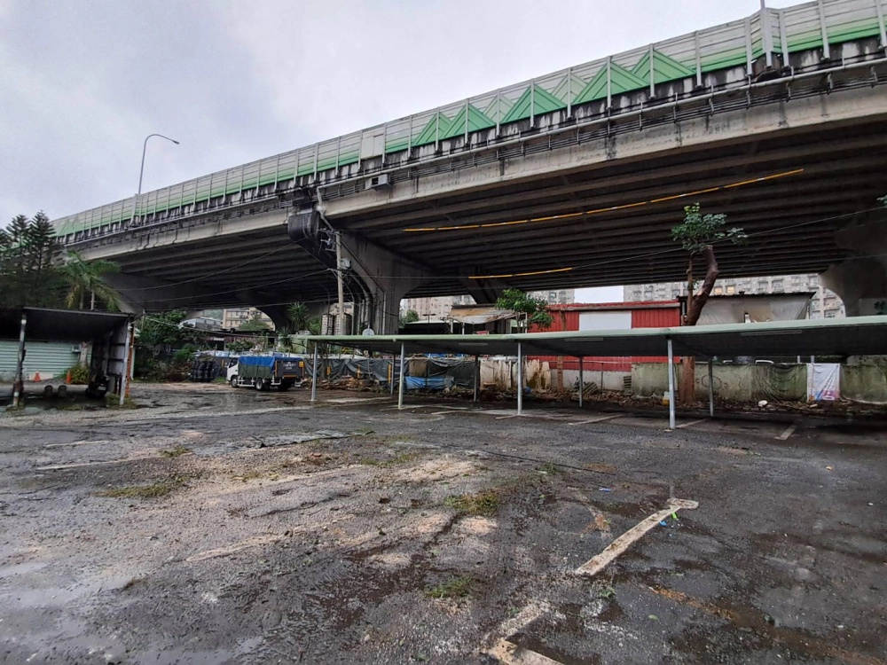 高壓電週遭危樹移除（後）