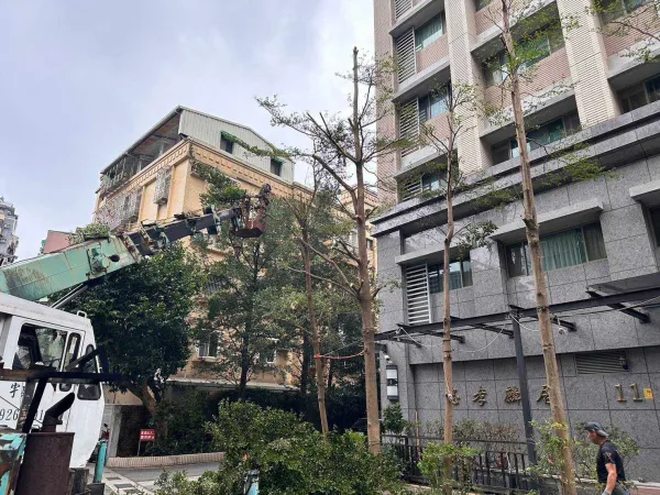 高空樹木修剪