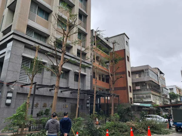 路樹修剪
