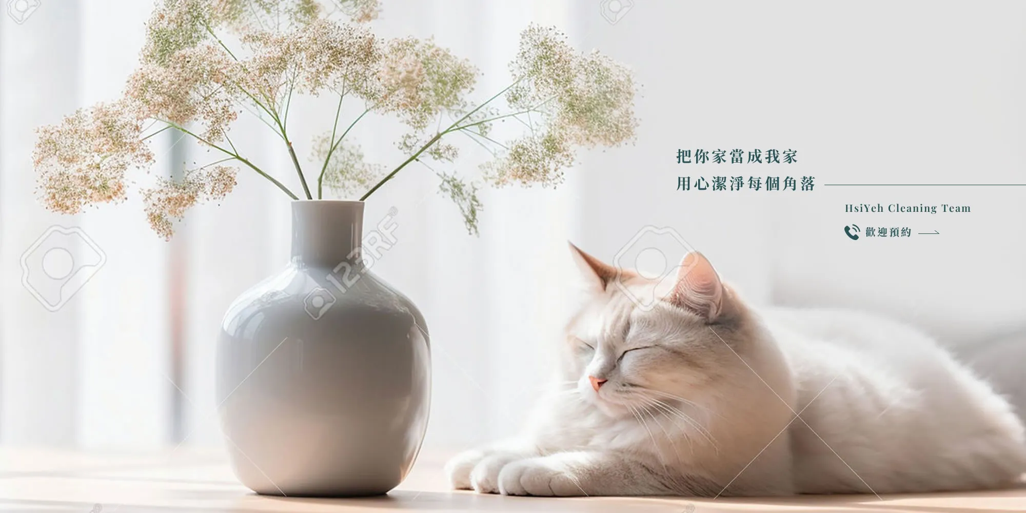 禧悅清潔團隊