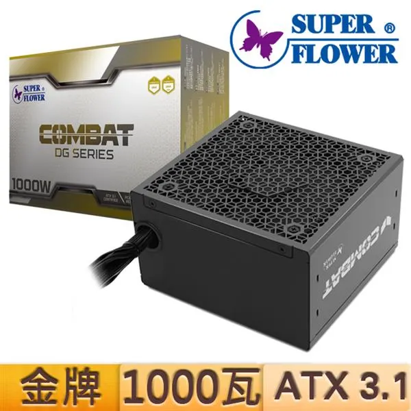 振華 COMBAT DG 金牌1000W 直出線ATX3.1電源供應器