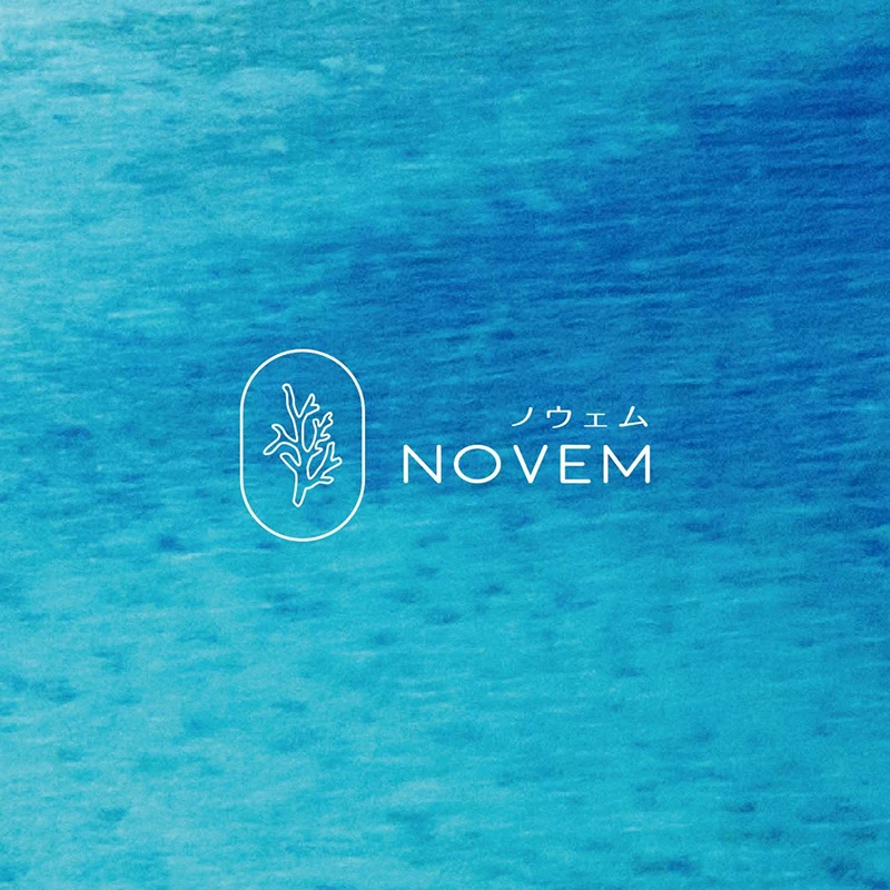 Novem品牌設計