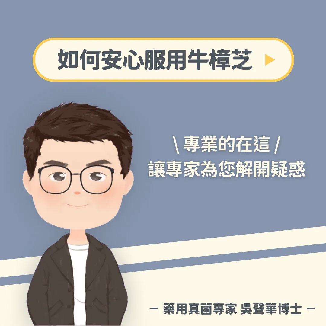 如何安心服用牛樟芝