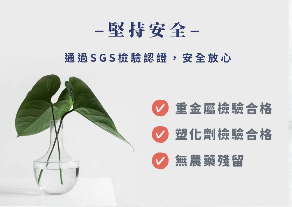 【華蕈生醫】極品萃取桑黃膠囊 (60粒/瓶) -中秋節優惠