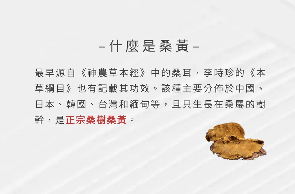 《華蕈中秋節優惠》極品牛樟芝膠囊 1瓶 + 桑黃膠囊 2瓶