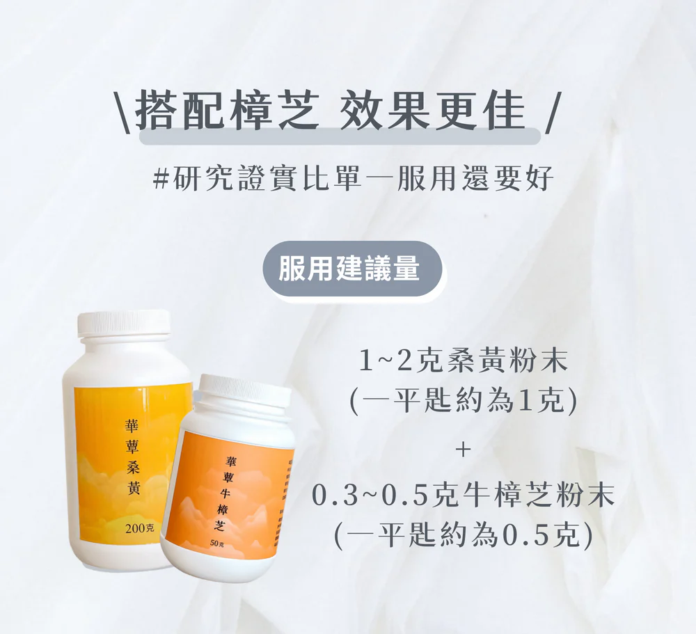極品萃取桑黃粉末-粉末型 (200g/瓶)