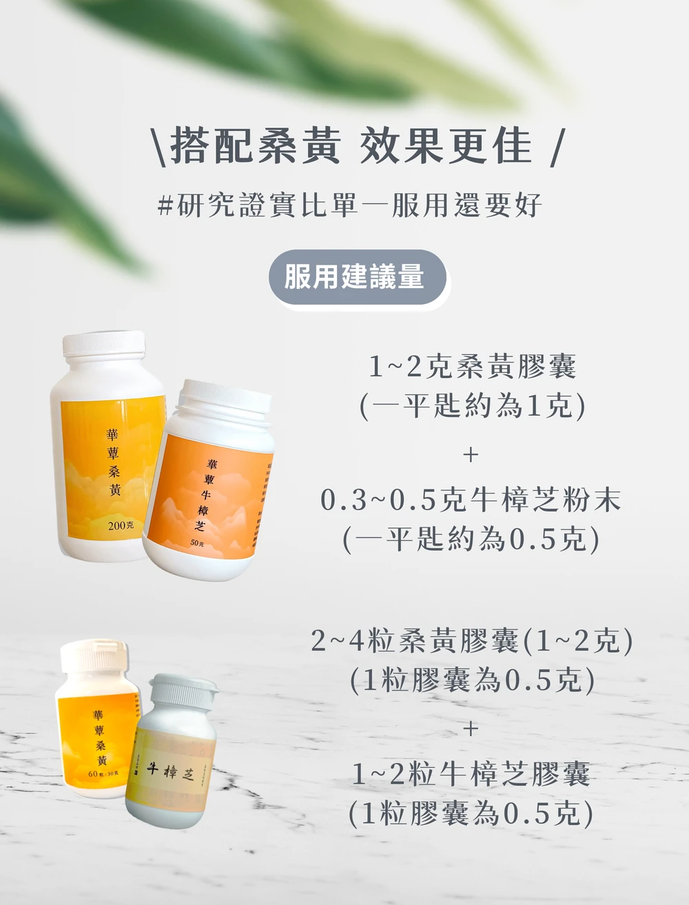 【華蕈生醫】極品牛樟芝膠囊 (60粒/瓶) - 中秋節優惠