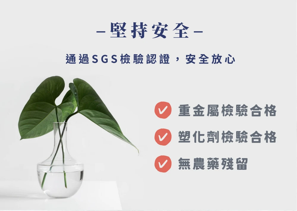 【華蕈生醫】極品萃取桑黃粉末-粉末型 (200g/瓶) - 中秋節優惠