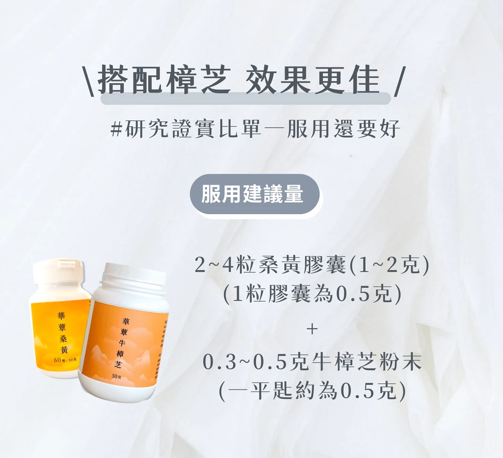 【華蕈生醫】極品萃取桑黃膠囊 (60粒/瓶) -中秋節優惠